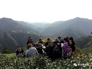 雷山县视频爆料,揭秘神秘民族风情与文化传承  第2张 雷山县视频爆料,揭秘神秘民族风情与文化传承  第2张