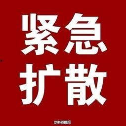 新精华官方爆料最新消息,最新消息揭秘神秘功能与升级亮点  第2张 新精华官方爆料最新消息,最新消息揭秘神秘功能与升级亮点  第2张