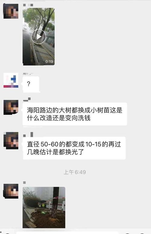 大树爆料视频,揭秘视频背后的惊人真相  第2张 大树爆料视频,揭秘视频背后的惊人真相  第2张