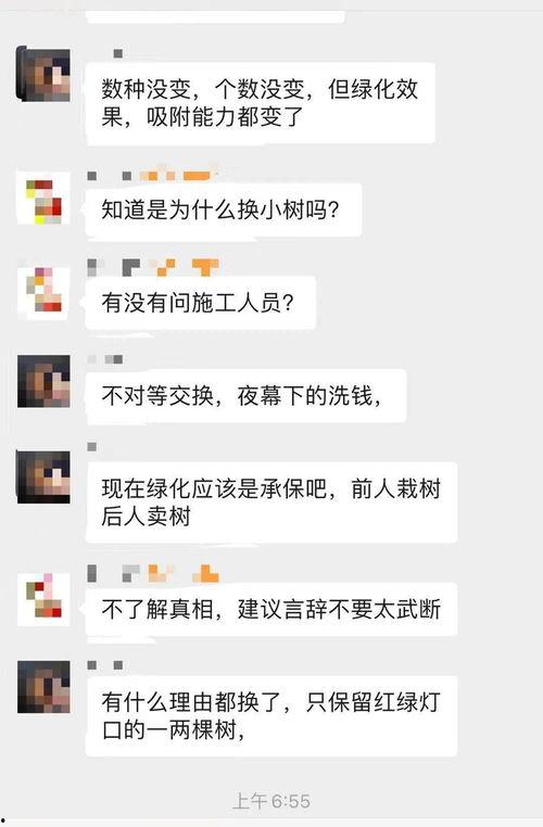 大树爆料视频,揭秘视频背后的惊人真相  第3张 大树爆料视频,揭秘视频背后的惊人真相  第3张