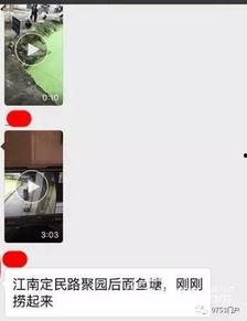 梅州最新爆料事件视频播放,视频揭露惊人真相,网友热议不断!  第3张 梅州最新爆料事件视频播放,视频揭露惊人真相,网友热议不断!  第3张