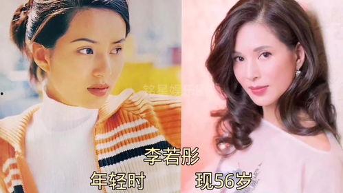 娱乐圈大爆料最新的小说,揭秘明星背后的秘密与真相  第1张 娱乐圈大爆料最新的小说,揭秘明星背后的秘密与真相  第1张