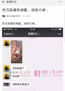 猪瘟最新爆料视频,揭秘病毒传播真相与防控措施  第2张 猪瘟最新爆料视频,揭秘病毒传播真相与防控措施  第2张