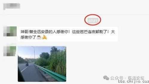 远安最新爆料事件视频,视频揭露惊人真相,事件背后有何隐情?  第1张 远安最新爆料事件视频,视频揭露惊人真相,事件背后有何隐情?  第1张