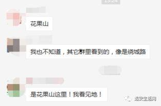 远安最新爆料事件视频,视频揭露惊人真相,事件背后有何隐情?  第3张 远安最新爆料事件视频,视频揭露惊人真相,事件背后有何隐情?  第3张