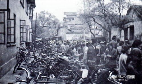 桂林最新新闻爆料视频播放,视频揭秘神秘事件!  第1张 桂林最新新闻爆料视频播放,视频揭秘神秘事件!  第1张