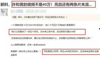 台媒最近爆料视频,揭秘事件背后惊人真相  第3张 台媒最近爆料视频,揭秘事件背后惊人真相  第3张