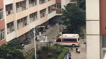 广西师大爆料新闻事件最新,校园事件引发社会关注,真相即将揭晓