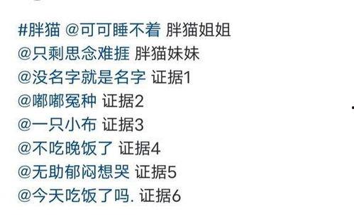 胖猫最新爆料网站,最新爆料网站深度解析  第2张 胖猫最新爆料网站,最新爆料网站深度解析  第2张
