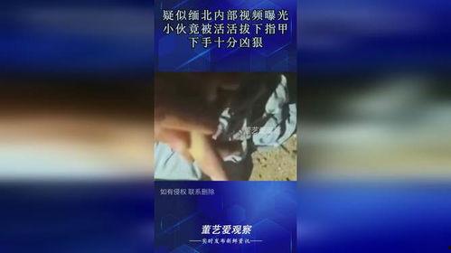 缅北爆料视频,视频揭露惊人内幕  第2张 缅北爆料视频,视频揭露惊人内幕  第2张