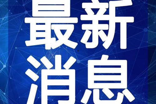 张良黄金爆料视频大全最新,视频大全深度解析  第2张 张良黄金爆料视频大全最新,视频大全深度解析  第2张